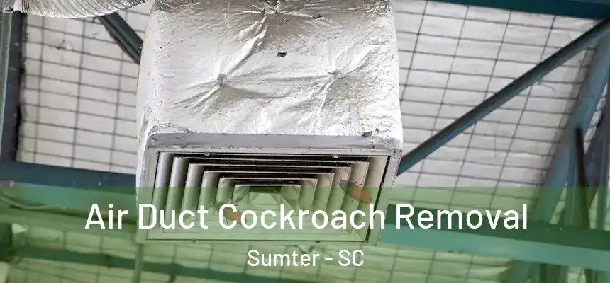  Air Duct Cockroach Removal Sumter - SC