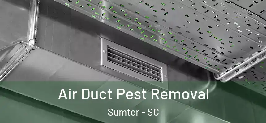  Air Duct Pest Removal Sumter - SC