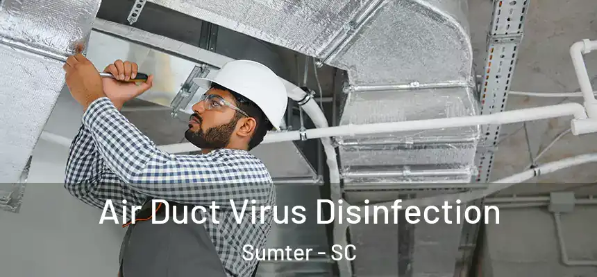 Air Duct Virus Disinfection Sumter - SC