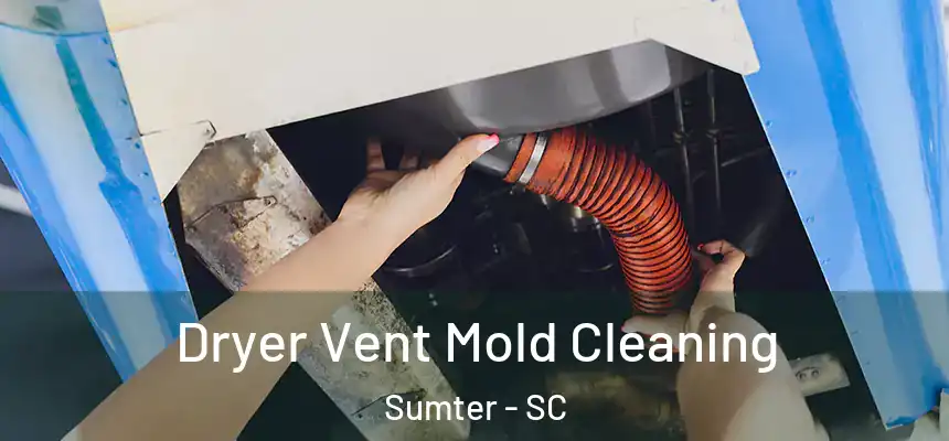  Dryer Vent Mold Cleaning Sumter - SC