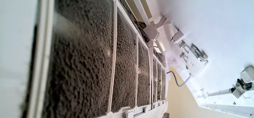 Preventive Air Duct Bacteria Removal in Sumter