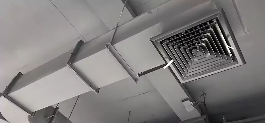 Restorative Allergy Relief Vent Cleaning – Coil, Blower & Housing Detail in Sumter