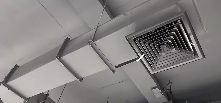 Our Pest Removal From Ducts Services in Sumter, SC