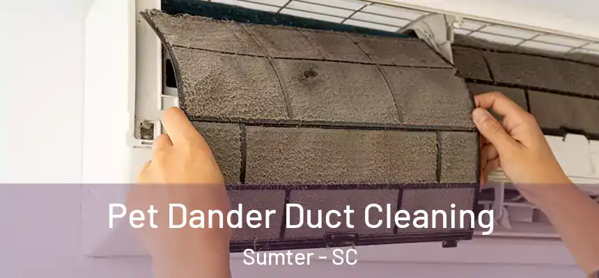  Pet Dander Duct Cleaning Sumter - SC