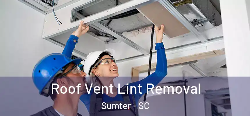  Roof Vent Lint Removal Sumter - SC