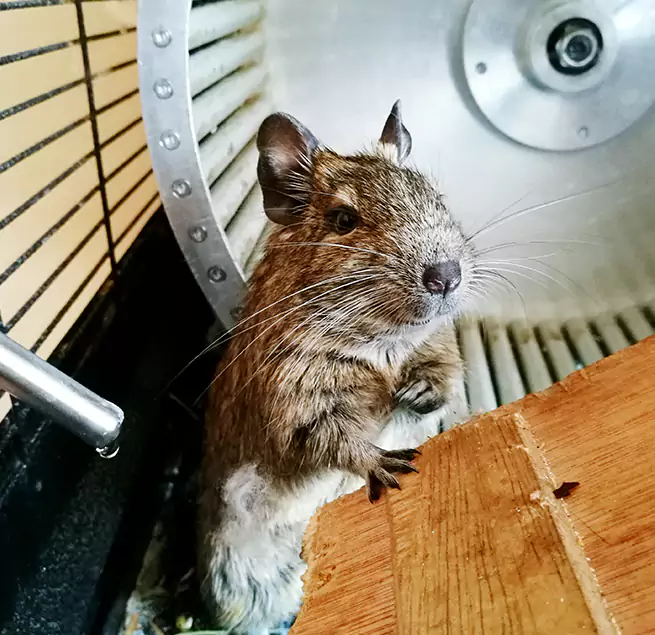 Why Homeowners & Businesses Trust Us Sumter, SC