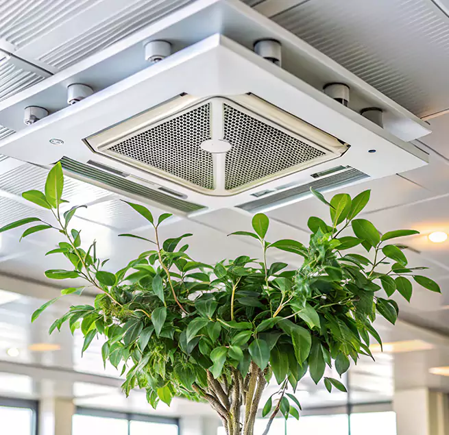 Why Homeowners & Businesses Trust Us in Sumter, SC?